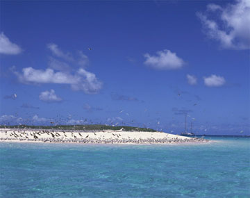 �O���[�g�E�o���A�E���[�t�i�I�[�X�g�����A�j