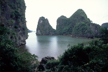 �n�[�E�����p�i�x�g�i���j