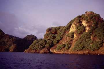 �R�R�X���i�R�X�^���J�j