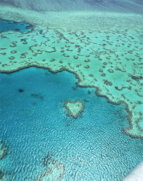 �O���[�g�E�o���A�E���[�t�i�I�[�X�g�����A�j