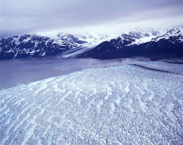 �n�b�o�[�h�E�O���[�V���[�i�A���X�J�j