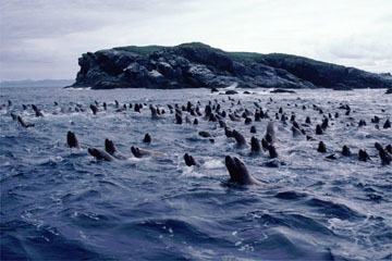 �g�h�i�A���X�J�j