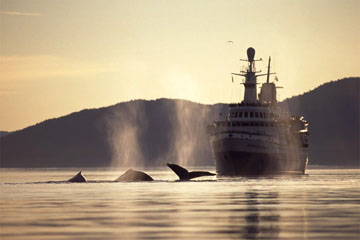 �U�g�E�N�W���i�A���X�J�j