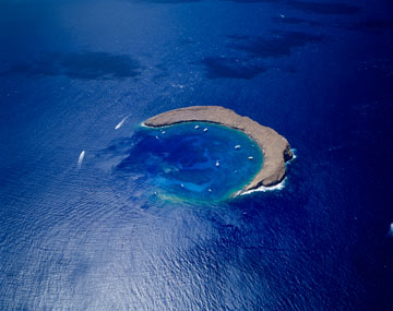 �����L�j�E�N���[�^�[�i�n���C�j