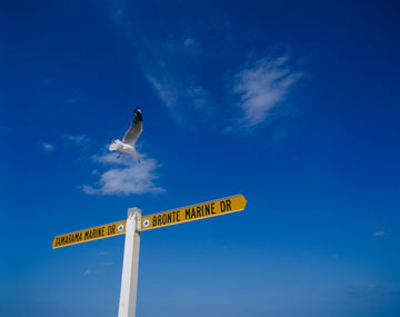 WƃJij[TEXEF[YAI[XgAj