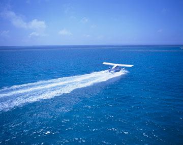 @̍qՁiO[goA[tAI[XgAj