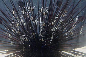 KK[ɉBve|SiA}mKeWN_Cj