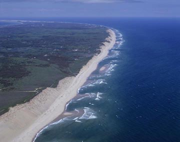 ���F�i�P�[�v�R�b�h�A�}�T�`���[�Z�b�c�A�A�����J�j