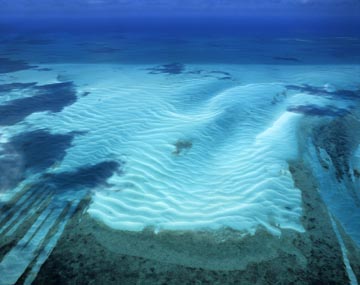 �C�ꍻ�F�i�r�~�j�A�o�n�}�A�J���u�C�j