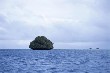 �L�m�R��i���b�N�E�A�C�����h�A�p���I�A�~�N���l�V�A�j