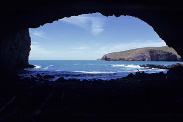 �C�H���A�i�o���N�X�����A�j���[�W�[�����h�쓇�j