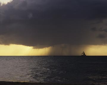 �X�R�[���i�T�C�p���A�~�N���l�V�A�j