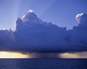 �X�R�[���i�J���u�C�j