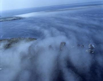 �C���i�j���[�t�@���h�����h���A�J�i�_�j