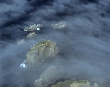 �C���i�j���[�t�@���h�����h���A�J�i�_�j