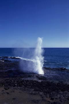 �u���E�z�[���i���������j�i�I�A�t���A�n���C�j