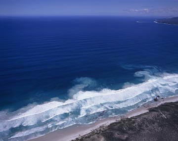 ���b�v�J�����g�i���ݗ��j�i���I�[�X�g�����A�j