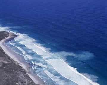 ���b�v�J�����g�i���ݗ��j�i���I�[�X�g�����A�j