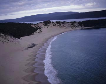 �J�X�v�i�g�ŐZ�H����鍻�l�j�i�^�X�}�j�A���A�I�[�X�g�����A�j