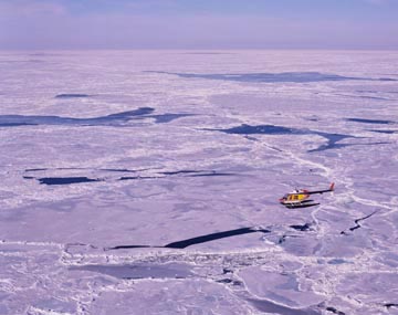 ���X�ƃw���R�v�^�[�i�Z���g���[�����X�p�A�J�i�_�j