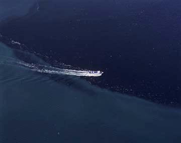 ���ځi�W���m�[�A�A���X�J�A�A�����J�j