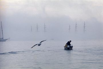 �C���i�j���[�|�[�g�A���[�Y�A�C�����h�A�A�����J�j