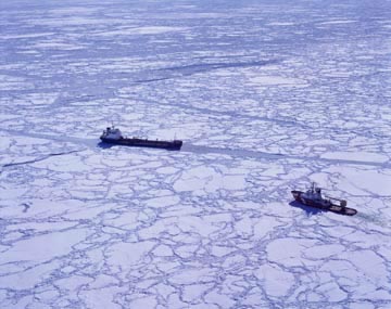 ���X�ƍӕX�D�i�Z���g���[�����X�p�A�J�i�_�j