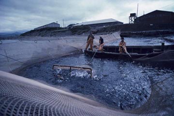 �T�P�̒�u�ԋ��A�𑨓�