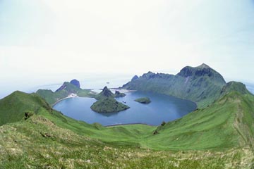 �J���f���΁i�E�V�V�[�����A�瓇�񓇁A���V�A�j