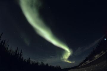 �I�[�����i�C�G���[�i�C�t�A�J�i�_�j