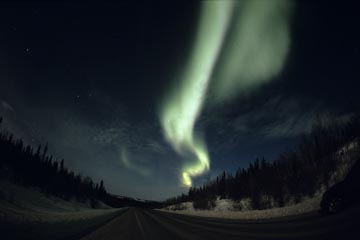 �I�[�����i�C�G���[�i�C�t�A�J�i�_�j