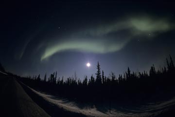 �I�[�����i�C�G���[�i�C�t�A�J�i�_�j