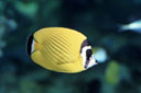cL`E`EEI