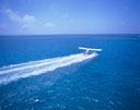 @̍qՁiO[goA[tAI[XgAj