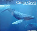 GENTLE GIANT