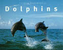 Dolphins
